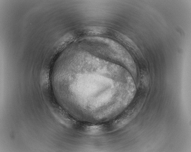 X0000110980312200907171737