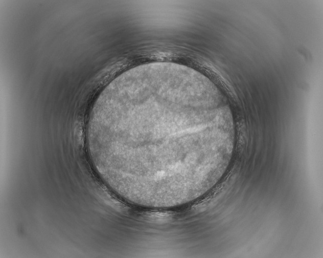 X0000110980313200907171737