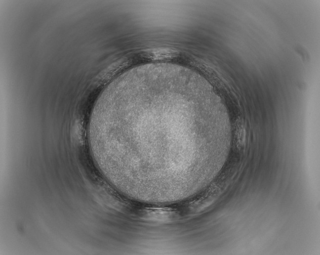 X0000110980316200907171737