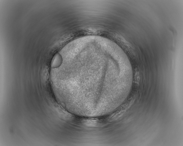 X0000110980318200907171737