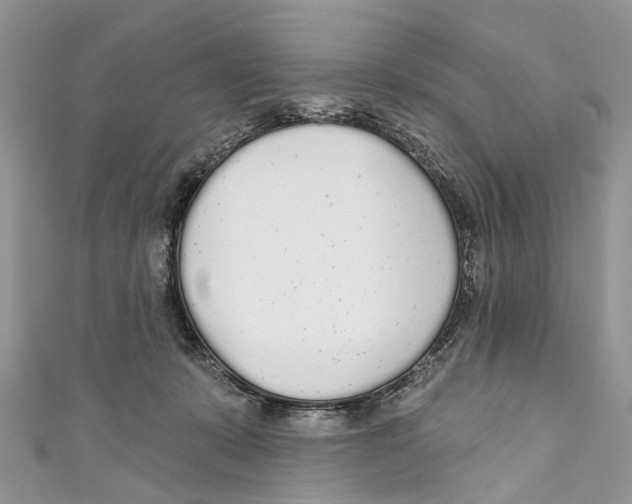 X0000110980319200907171737