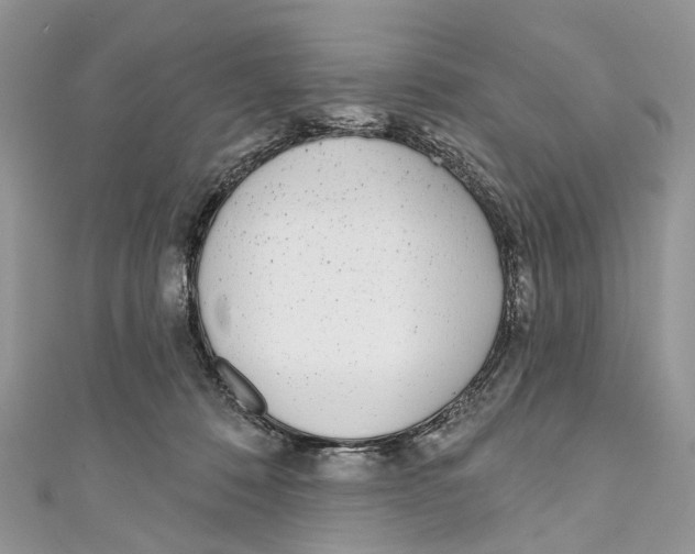 X0000110980320200907171737