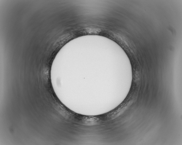 X0000110980321200907171737