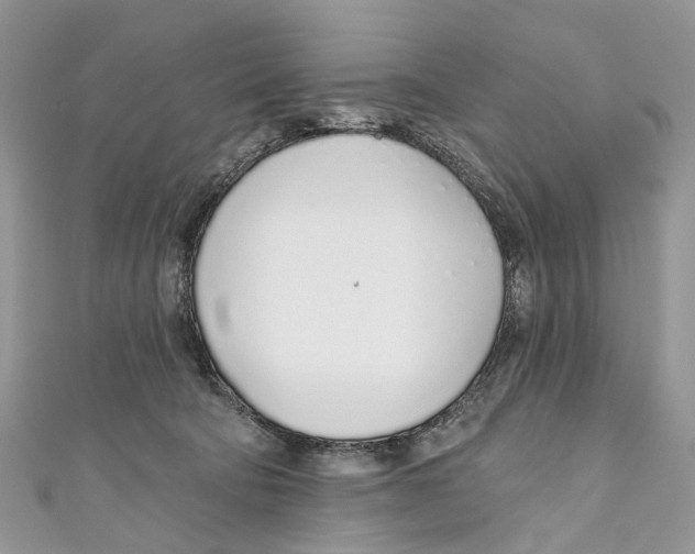 X0000110980322200907171737