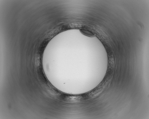 X0000110980323200907171737
