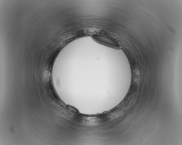 X0000110980324200907171737