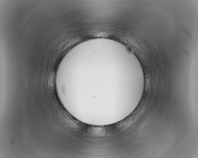 X0000110980325200907171737