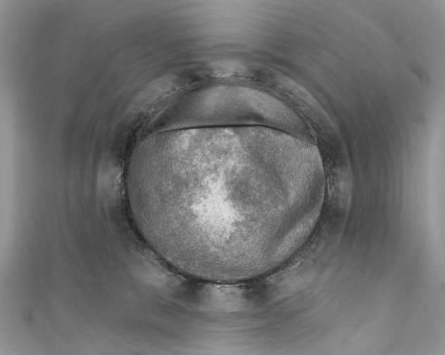 X0000110980327200907171736