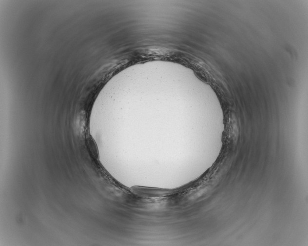 X0000110980328200907171736