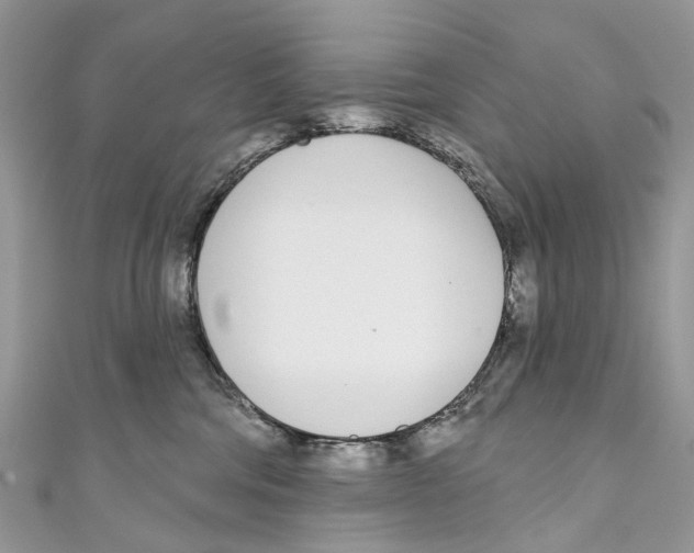 X0000110980330200907171736
