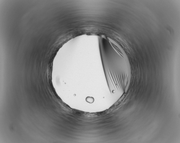 X0000110980333200907171736