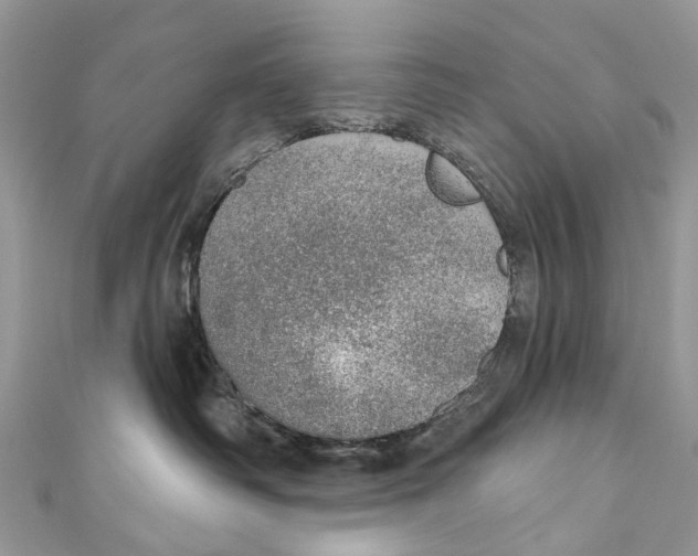 X0000110980334200907171736