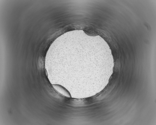 X0000110980335200907171736