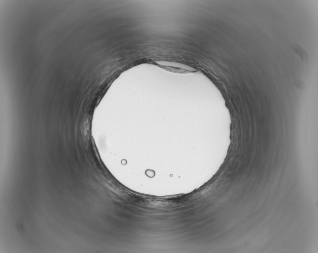 X0000110980336200907171736