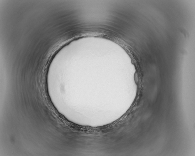 X0000110980337200907171736