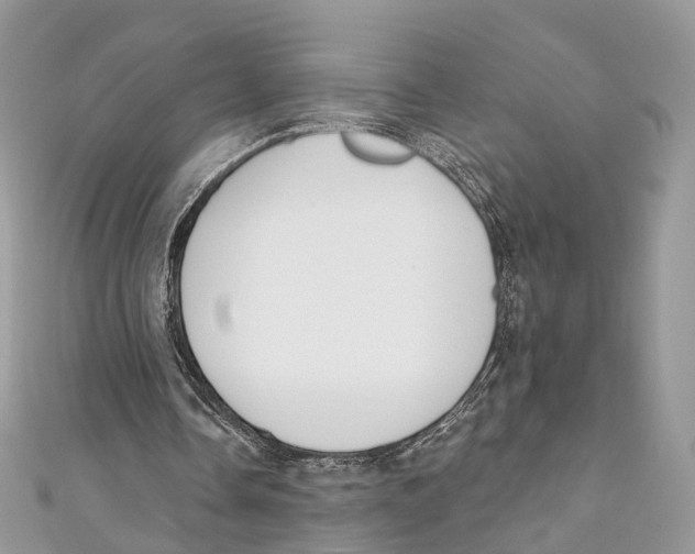 X0000110980338200907171736