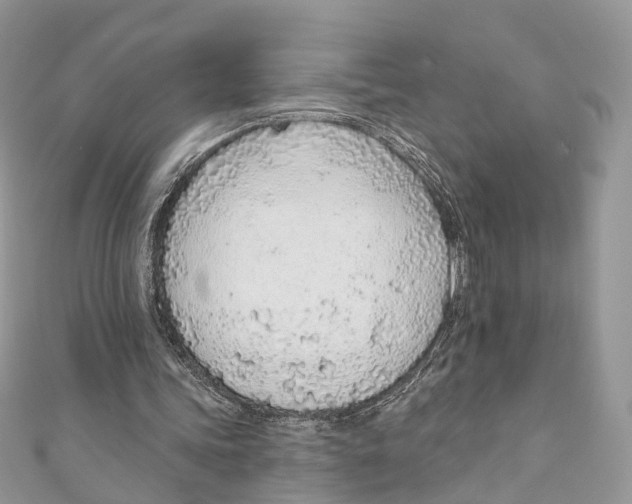 X0000110980339200907171736