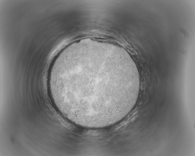 X0000110980341200907171736