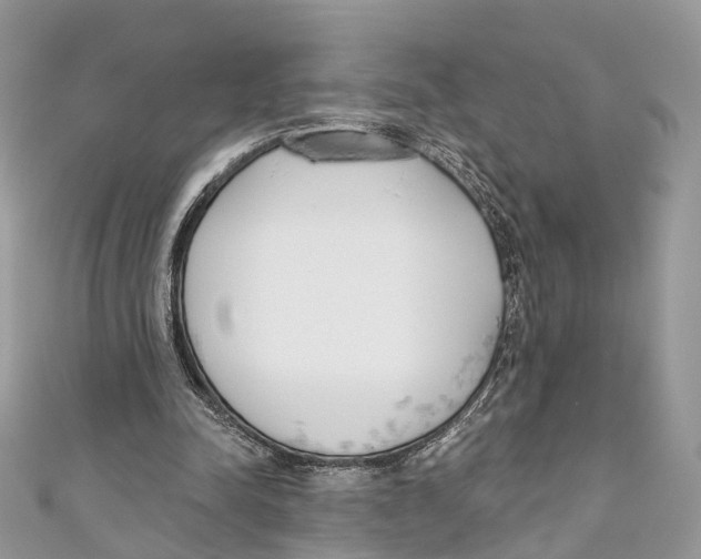 X0000110980342200907171736