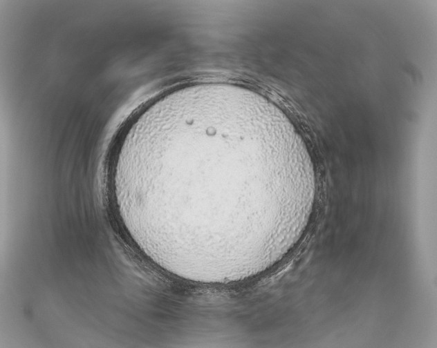 X0000110980343200907171736