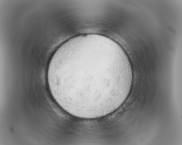 X0000110980345200907171736