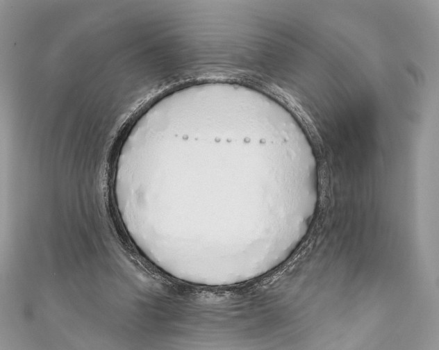 X0000110980346200907171736