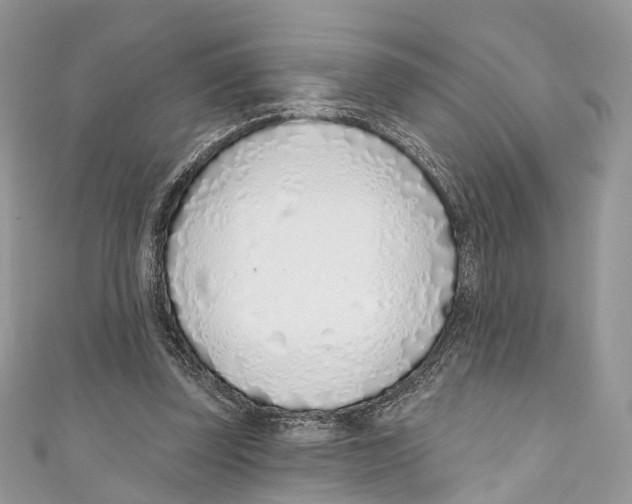 X0000110980347200907171736