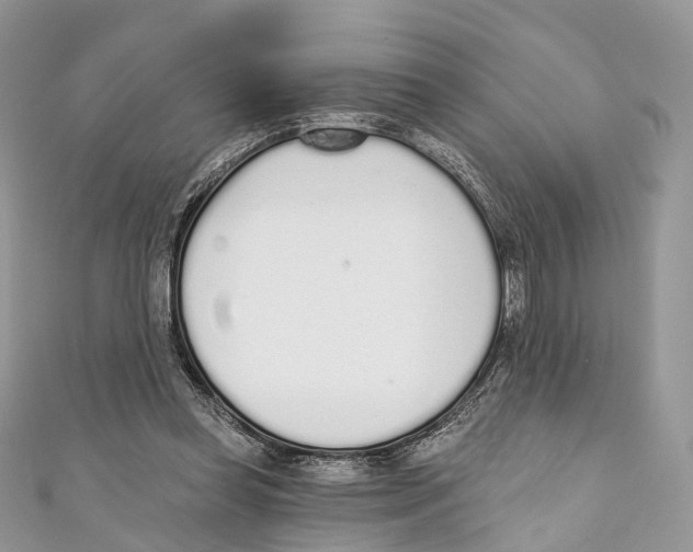 X0000110980349200907171736