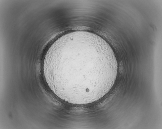 X0000110980351200907171736
