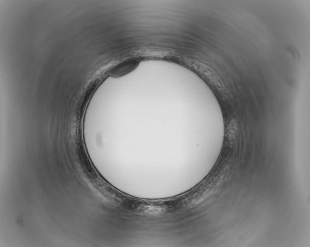 X0000110980352200907171736