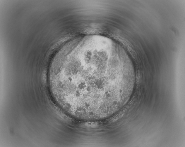 X0000110980353200907171736