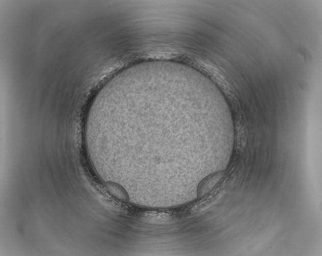 X0000110980354200907171736