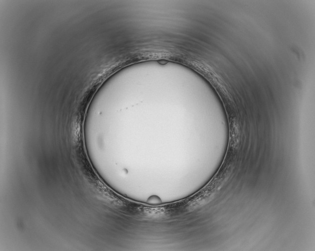 X0000110980355200907171736