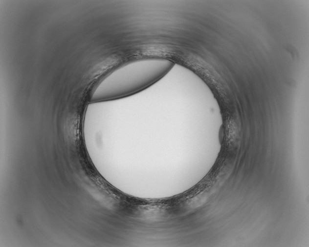 X0000110980356200907171736