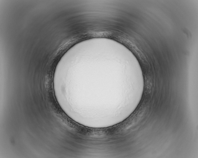 X0000110980357200907171736