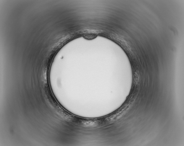 X0000110980358200907171736