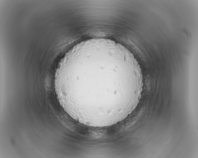 X0000110980359200907171736