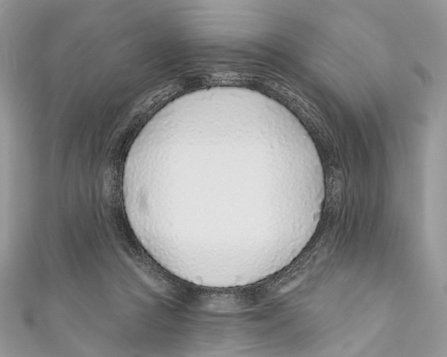 X0000110980361200907171736