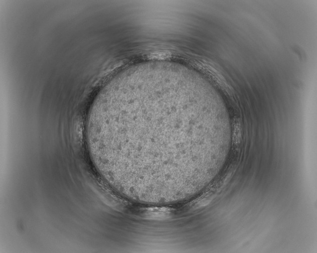 X0000110980363200907171736