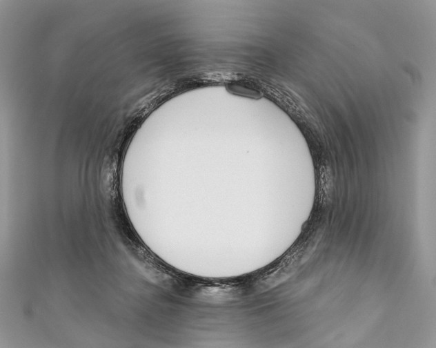 X0000110980364200907171736