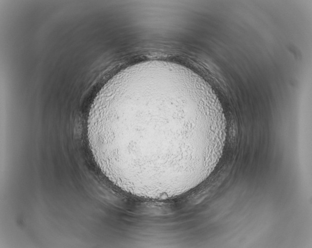 X0000110980367200907171736