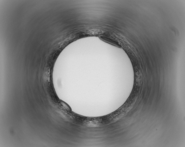 X0000110980368200907171736