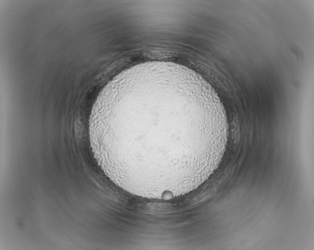 X0000110980371200907171736