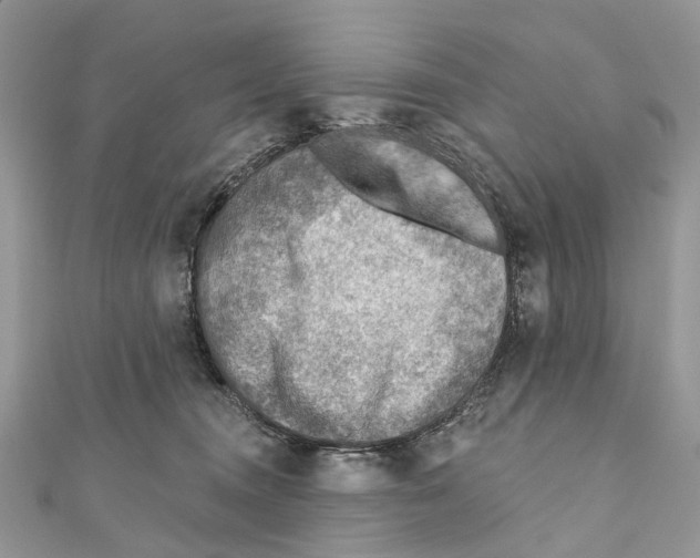 X0000110980372200907171736