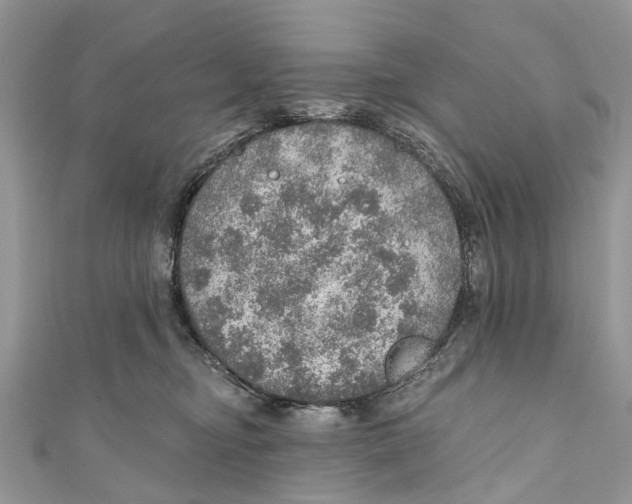 X0000110980374200907171736