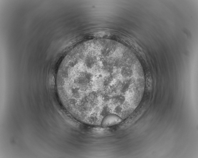 X0000110980375200907171736