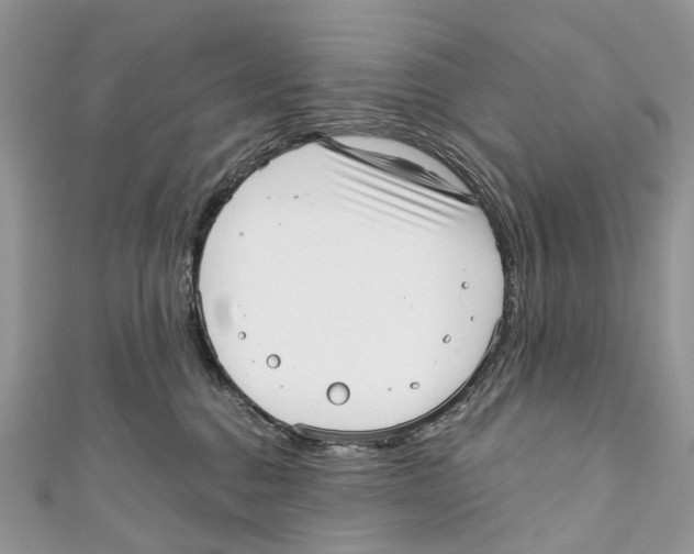 X0000110980376200907171736
