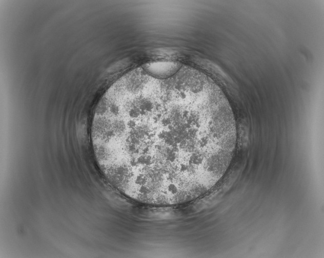 X0000110980377200907171736