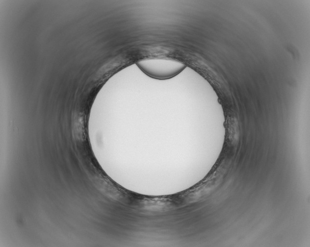 X0000110980378200907171736