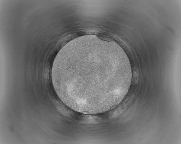 X0000110980379200907171736